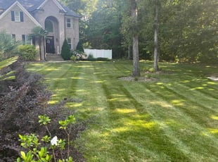 Mark B.'s grass cutting service result