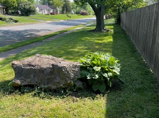 Linda M.'s turf maintenance service result