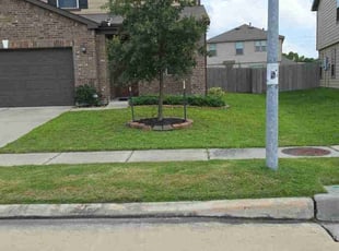 Heather C.'s turf care service result