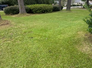 Derek D.'s lawn care services service result