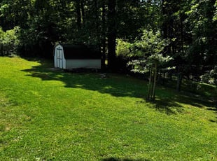 Carleen T.'s turf care service result