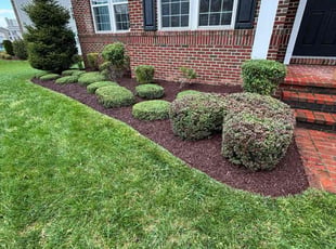 Kim N.'s Bush Trimming service result