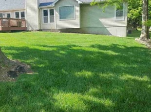 Hunter B.'s turf care service result