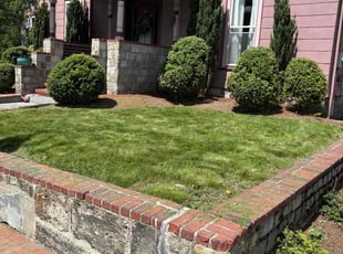 Dustin F.'s turf maintenance service result