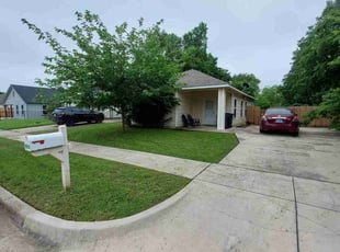 Chandra P.'s turf care service result