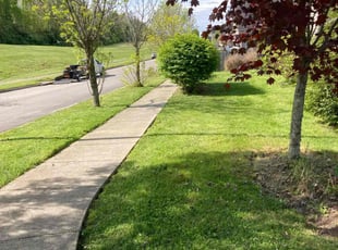 Mary C.'s lawn maintenance service result