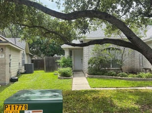 Allan D.'s yard maintenance service result