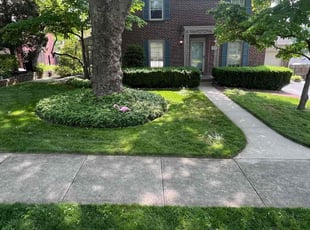 Patrick N.'s turf maintenance service result