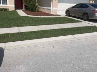 Monique G.'s lawn care service result