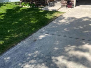 Gigi N.'s lawn care service result