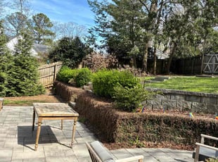 Tina L.'s lawn care service result