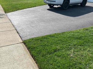 Trina V.'s grass maintenance service result