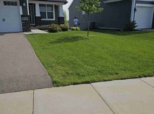 Patty J.'s lawn care service result