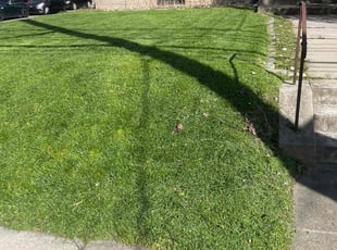 James S.'s turf care service result