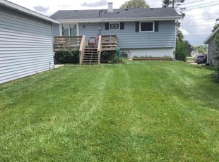 Raman T.'s turf care service result