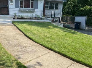 Patty C.'s turf maintenance service result