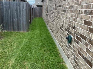 Tia M.'s grass cutting service result