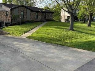 Thor W.'s lawn care service result