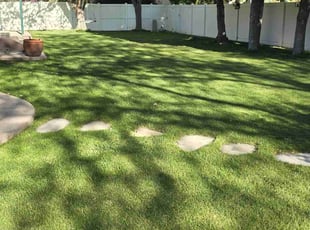 Alicia C.'s gardening service service result
