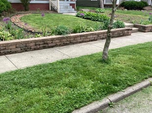 Linda L.'s lawn care service result