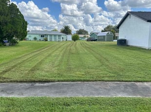 Sandra C.'s turf care service result