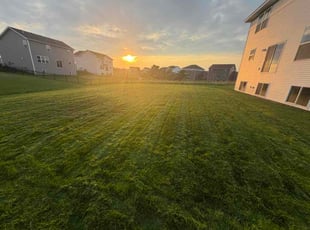 Shahn K.'s lawn service service result
