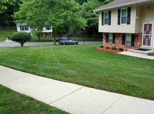 Steven K.'s lawn maintenance service result