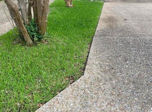 Shefali O.'s yard maintenance service result