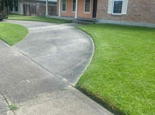 Gregory N.'s residential landscaping service result