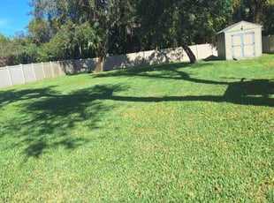 Cierra M.'s grass maintenance service result