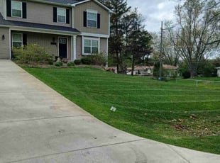 Samuel E.'s lawn service service result