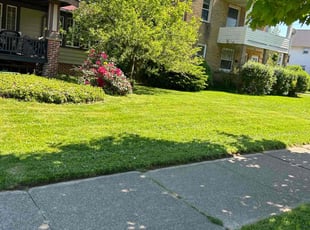 Mary Ann Z.'s lawn maintenance service result