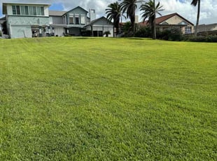 James R.'s grass cutting service result