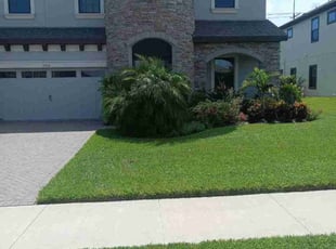 Janeene H.'s lawn care service result
