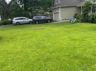 Christian S.'s grass cutting service result