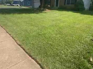 Jason D.'s grass cutting service result