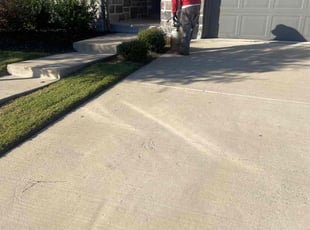 Paula B.'s lawn care service result