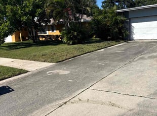 Paul M.'s Long Grass Cleanup service result