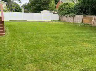 Arpit P.'s turf care service result