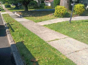 Hampton S.'s grass maintenance service result