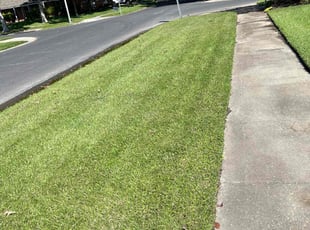 Dr W.'s lawn maintenance service result