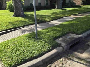 Jeremiah W.'s yard service service result