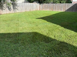 Kerrie S.'s turf care service result