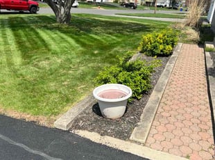 Christine W.'s turf maintenance service result