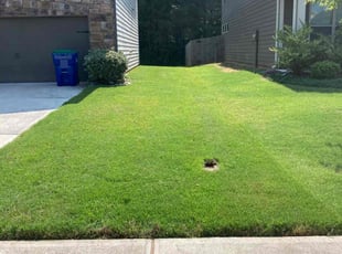 Sarah W.'s lawn care services service result