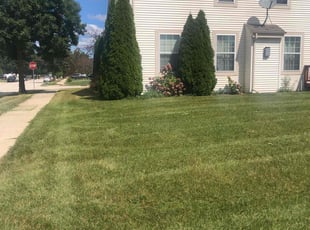 Victoria P.'s turf maintenance service result