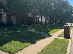 Lori B.'s grass cutting service result