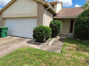 Paulina W.'s Bush Trimming service result