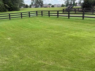 Stephen F.'s turf maintenance service result