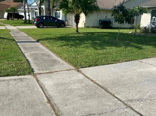 Robin M.'s grass cutting service result